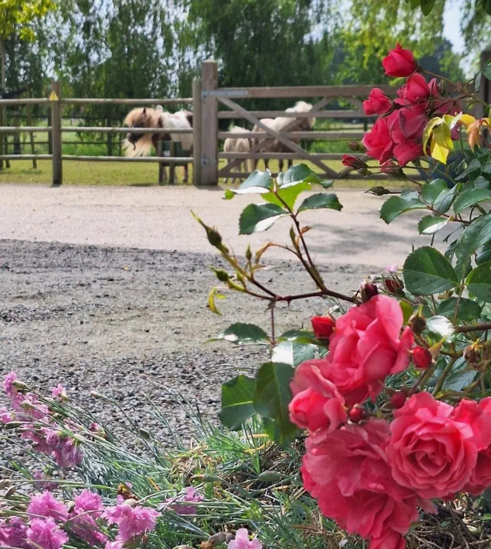Holiday home Vacation Home Mechelhof Leffinge Belgium